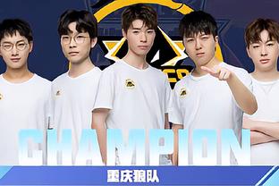 国羽的整体